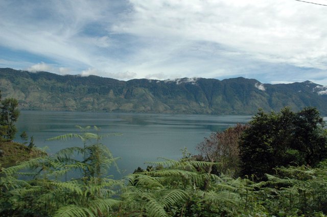 Hutan danau dan gunung@ayijufridar.jpg