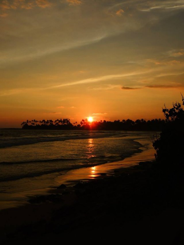 Sunset near the beach.jpg