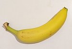 single banana150x102.jpg