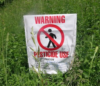 pesticides-and-food-safety.jpg