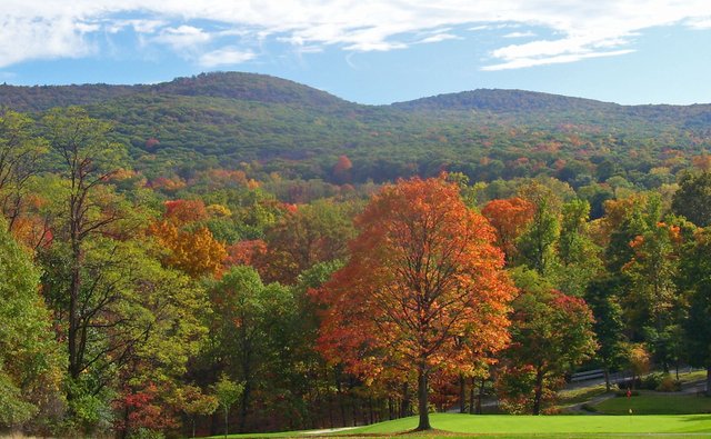 Black_Rock_Forest_view_from_NE.jpg