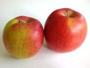 apples.JPG