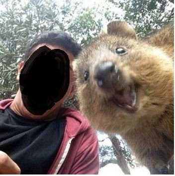 quokk.jpg