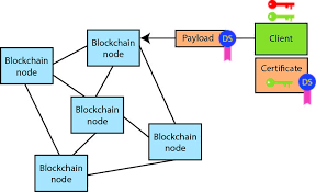 blockchain node.png