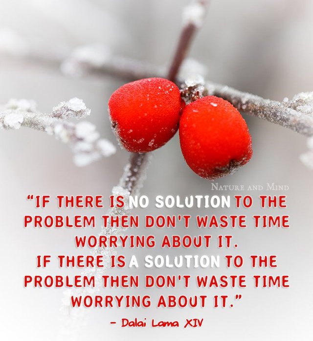 dalai-lama-on-solutions-and-worrying1.jpg