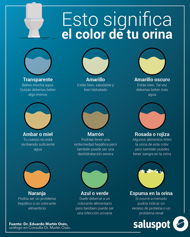 valor normal de leucocitos en orina