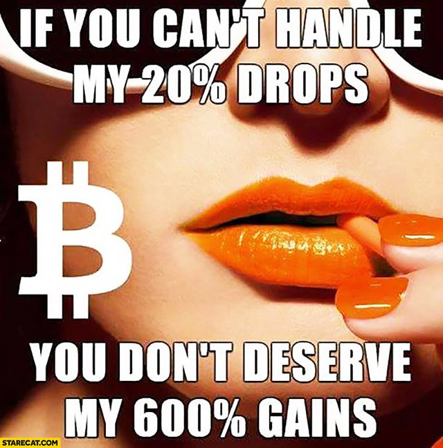 https steemit.com cryptocurrency anlipkc funny-cryptocurrency-memes