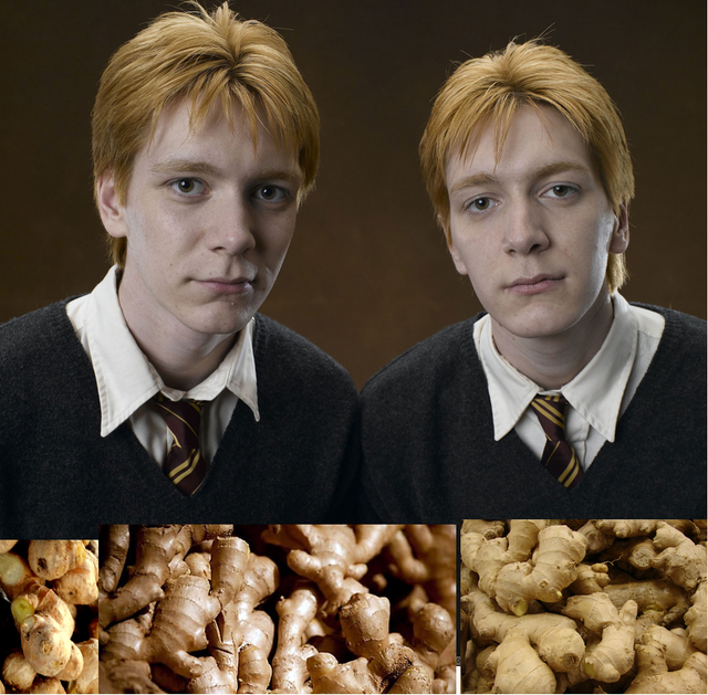 ginger.png