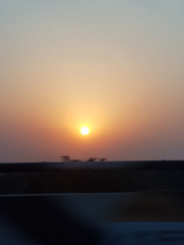 20180402_182648.jpg