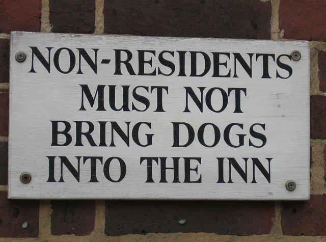 sign-dogs.jpg