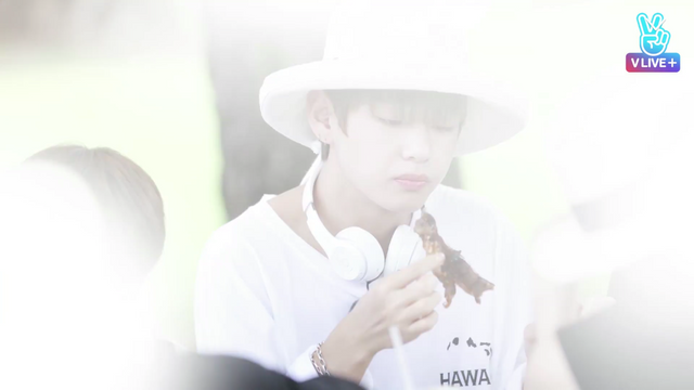 bts bon voyage2 hawaii photo essay ๋ฐฉํ ๋ณธ๋ณด์ผ์ง2 ํ์์ด ํฌํ ์์ธ์ด โ Steemit