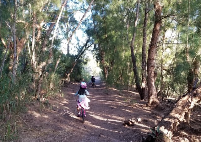 Markham_Park_Biking.jpg