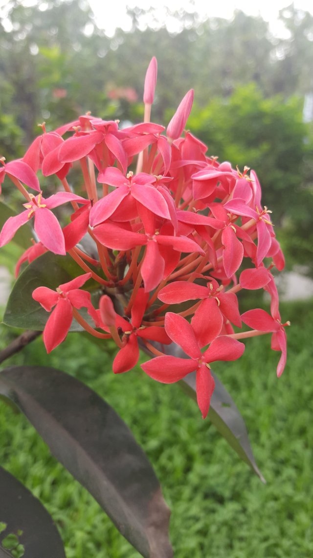 20180503_155330.jpg