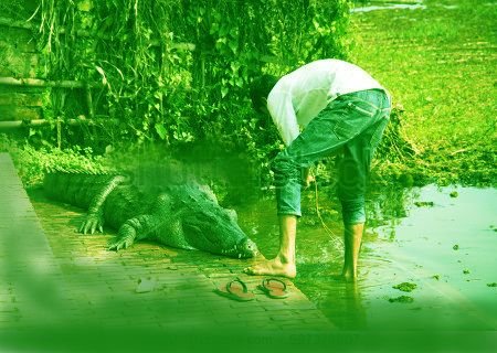 stock-photo-bagerhat-bangladesh-february-people-with-crocodile-next-to-the-big-lake-at-the-tomb-mosque-597373607.jpg