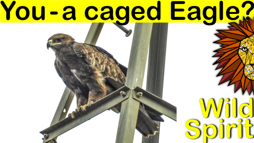 caged eagle.png