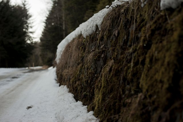 Mosswand zillertal.jpg