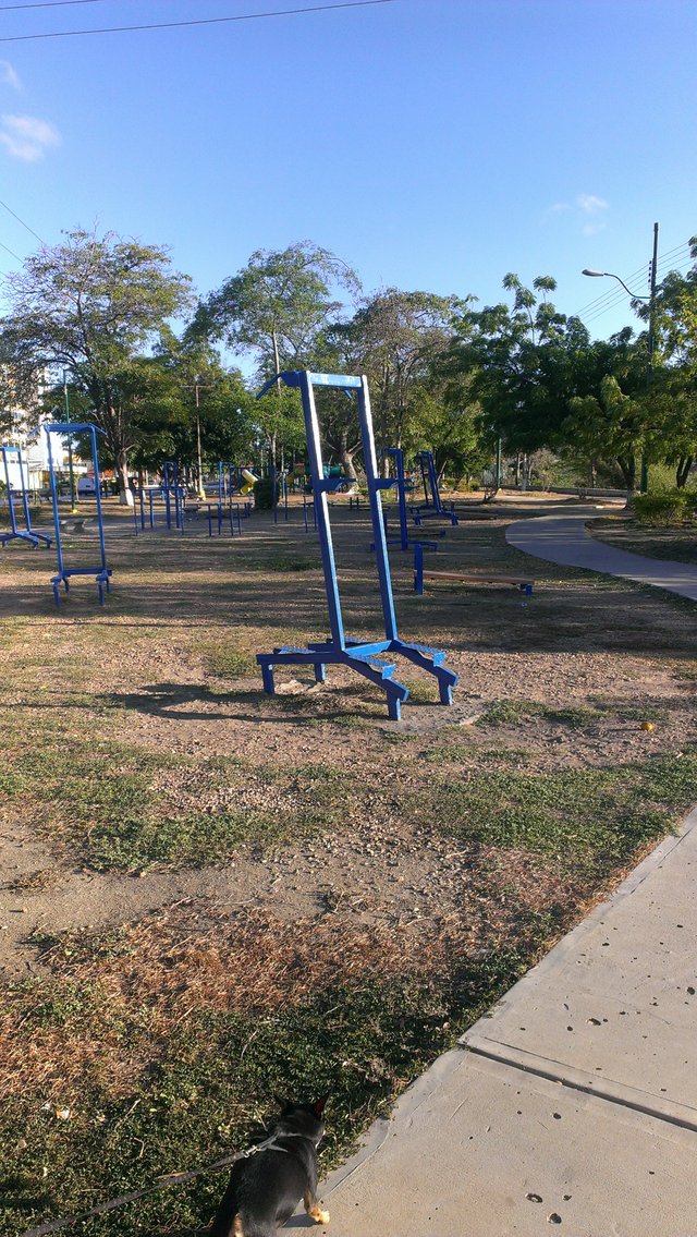IMAG0311.jpg