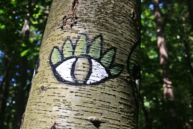 tree eyes.jpg