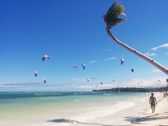 Boracay-palm-1024x7681-1024x768.jpg