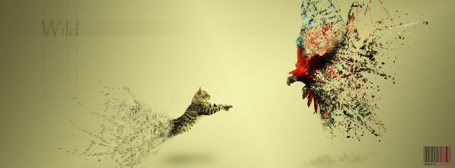 Beautiful-Wild-Facebook-Cover-Picture.jpg