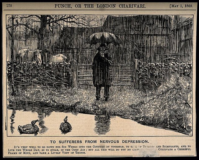A_depressive_man_standing_by_a_country_pond_in_the_pouring_r_Wellcome_V0011388.jpg