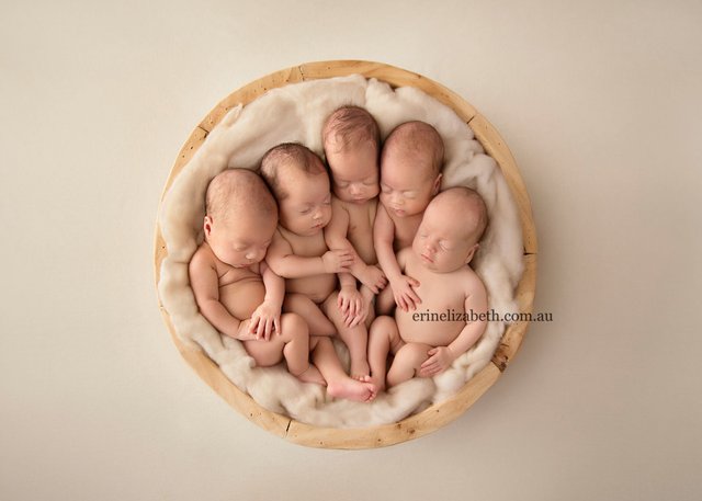 Quintuplets-3.jpg