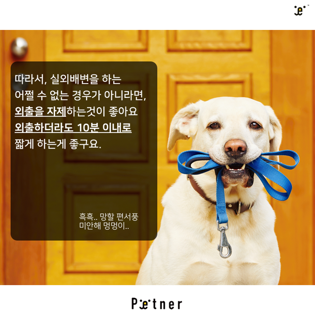 미세먼지6.png