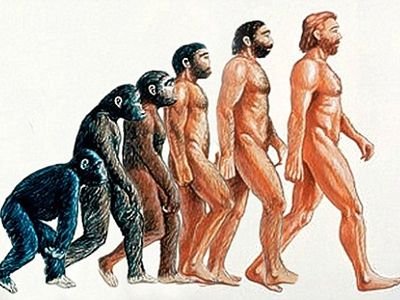 evolutie-om.jpg