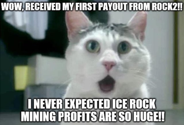 Cat payouts.jpg