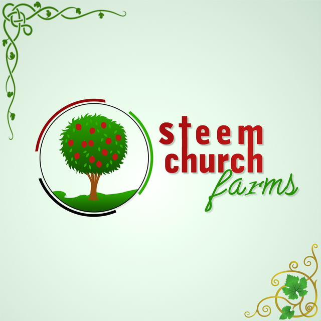 steem church farm 6.png