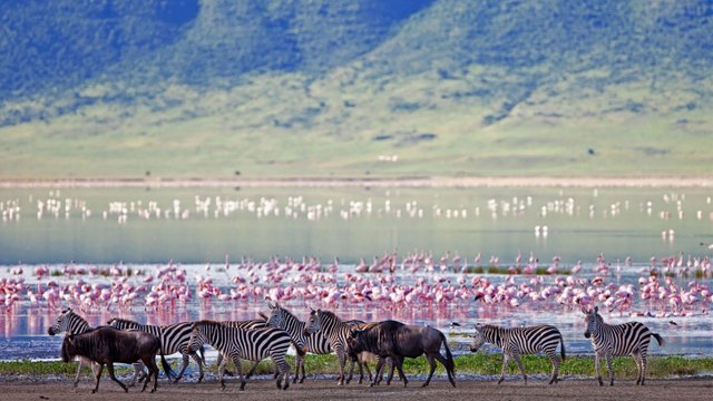 ngorongoro-crater.jpg