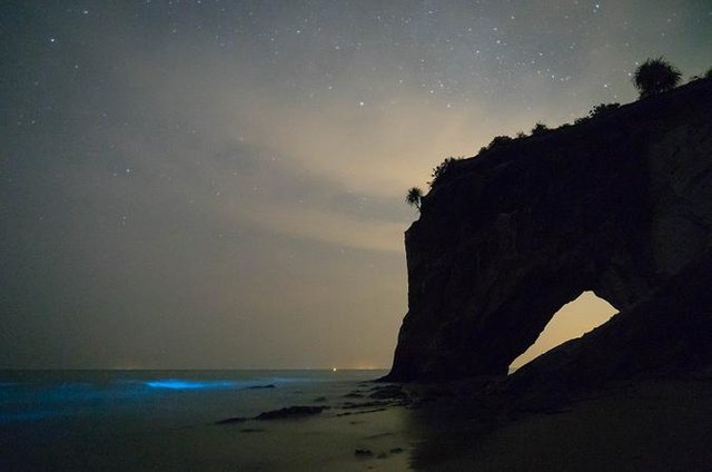 Blue Tears At Tusan Beach Miri Sarawak How It Can Appear Steemit