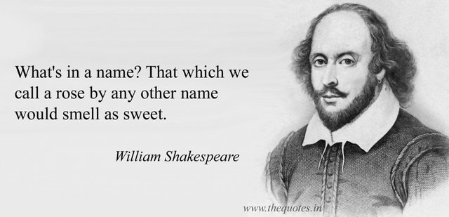 william-shakespeare-rose-quote-what39s-in-a-name-that-which-we-call-a-rose-any-other-name.jpg