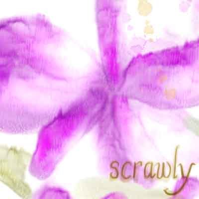 Orchid