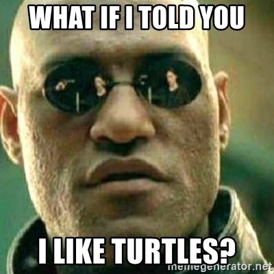 what-if-i-told-you-i-like-turtles.jfif