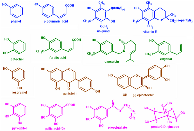 naturally-occurring-phenolic-compounds.png