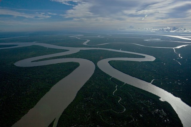 sundarbans the daily stars.jpg