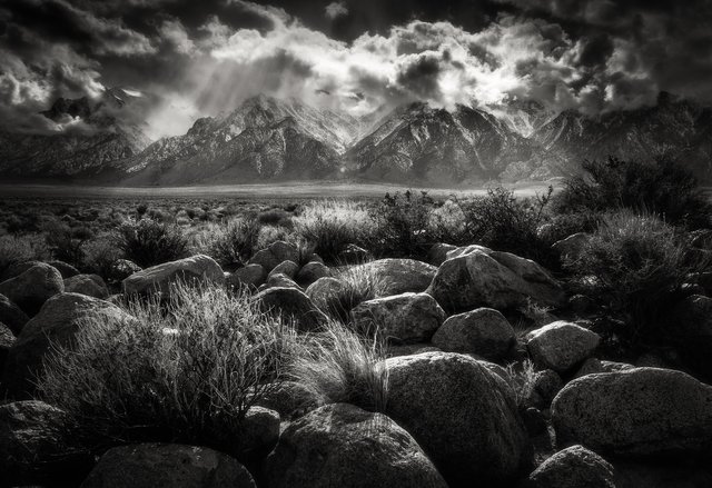 Black and white Sierras