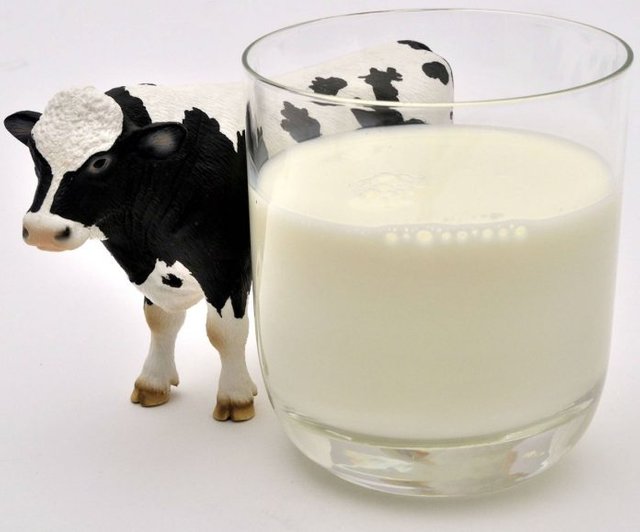 milk-image-696x579.jpg