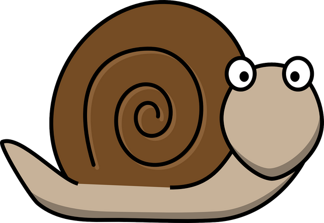 snail-160313_1280.png