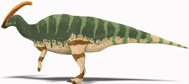 Parasaurolophus_walkeri.png