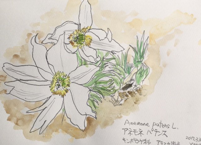 sketch20170330b.jpg