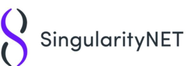 Singularitynet.JPG
