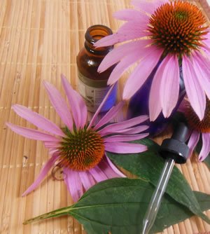 SP Echinacea_tincture.jpg