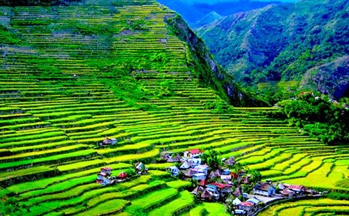 banaue_rice_terraces_luzon.jpg