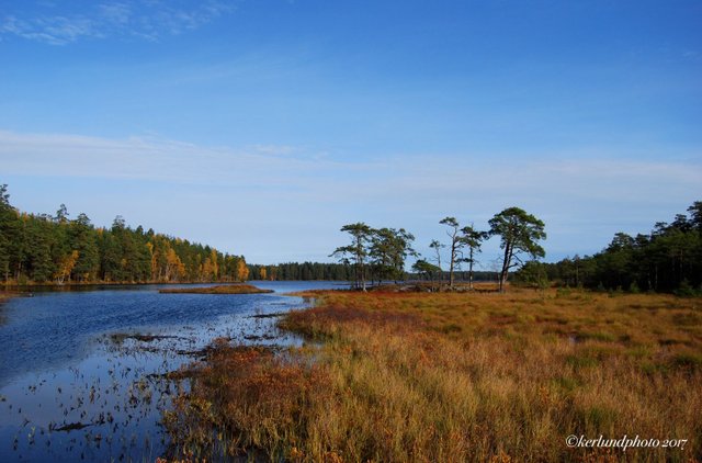 navsjo lake long.jpg