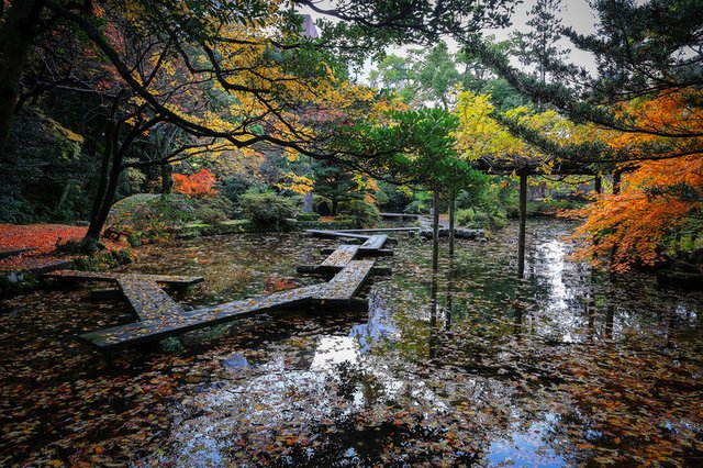 Kanazawa-Autumn-3822-187.jpg