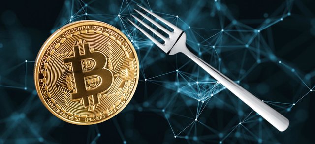 bitcoinfork.jpg