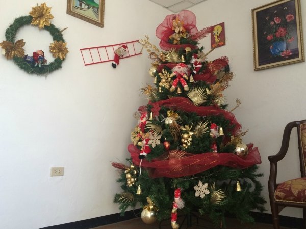 Arbol de navidad.jpg