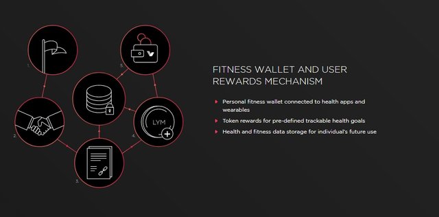 fitness wallet.jpg
